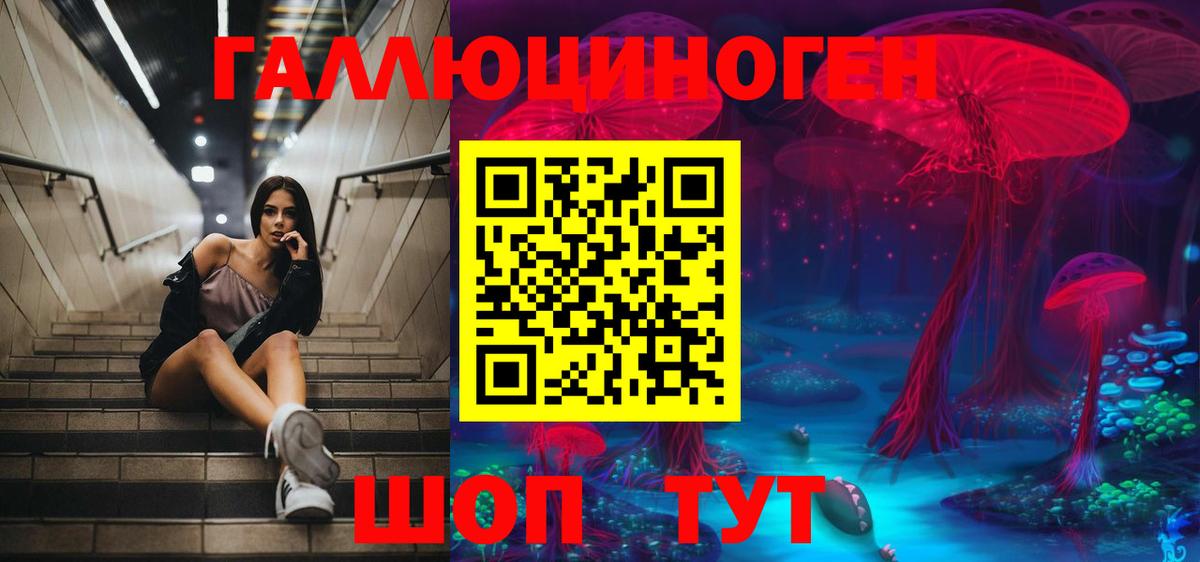 Псилоцибиновые грибы Psilocybine cubensis  Вход с VPN  Коркино 